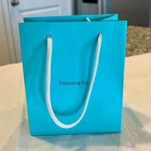 Tiffany & Co. Turquoise Paper Gift Bag with White Rope Handles